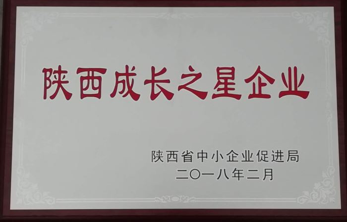 2018年度陜西成長(zhǎng)之星企業(yè)