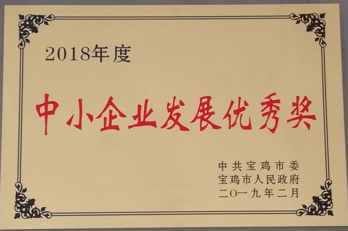 2018年度中小企業(yè)發(fā)展優(yōu)秀獎(jiǎng)